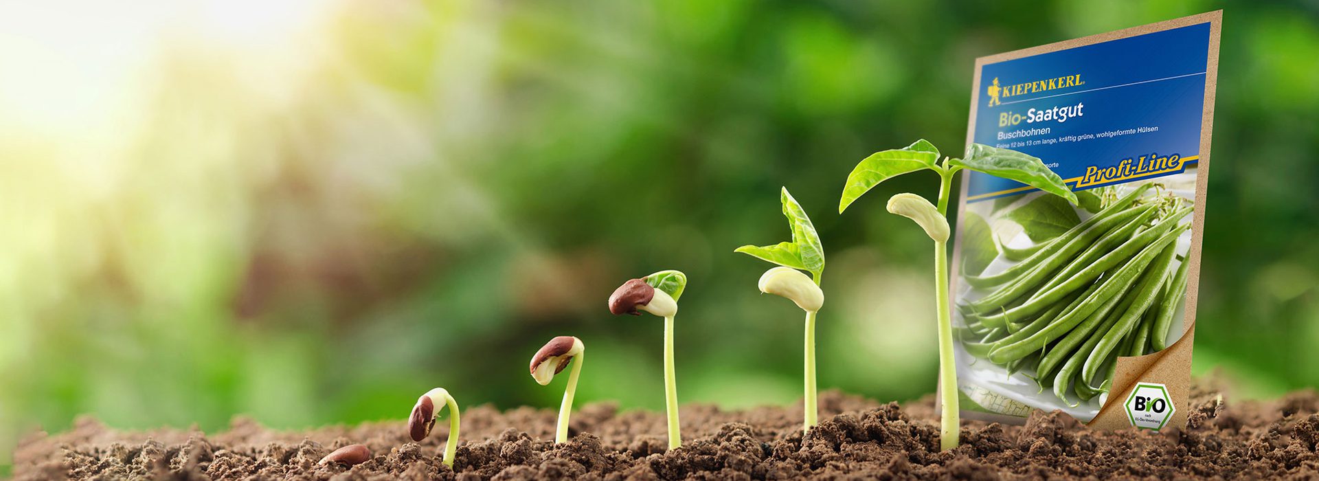 Header_Nebelung_Stelle