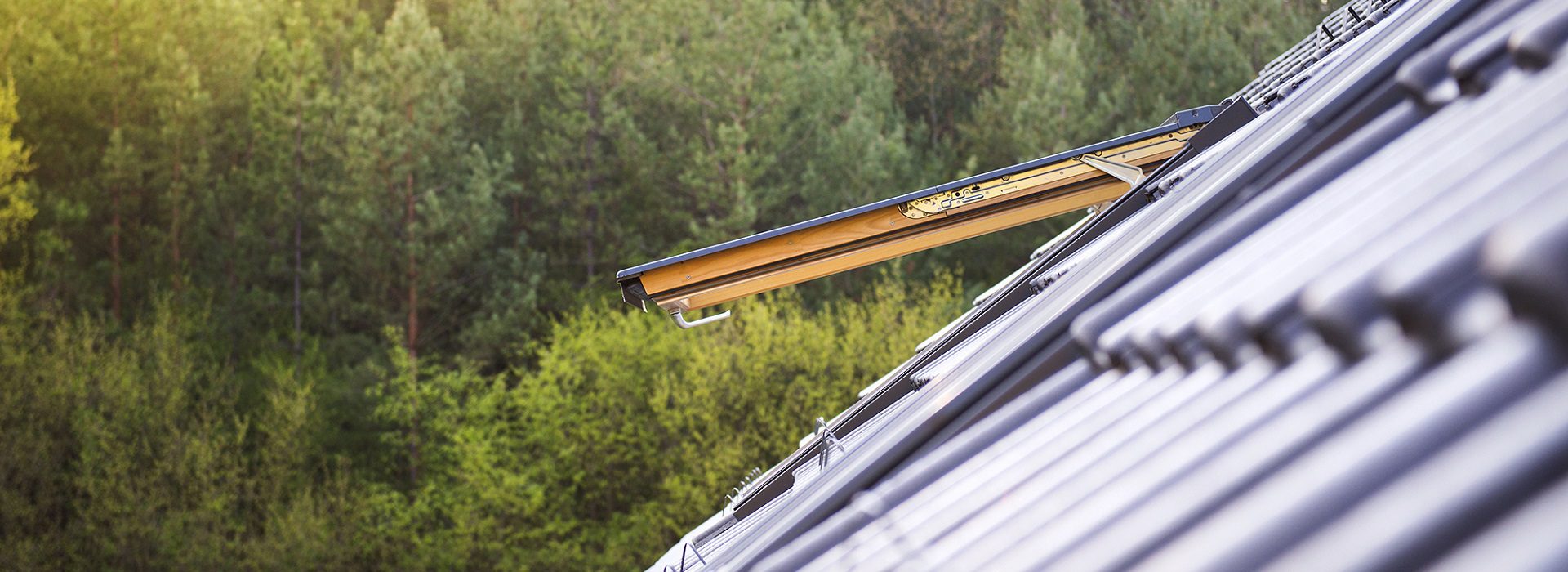 Header_Pickenaecker_Profil